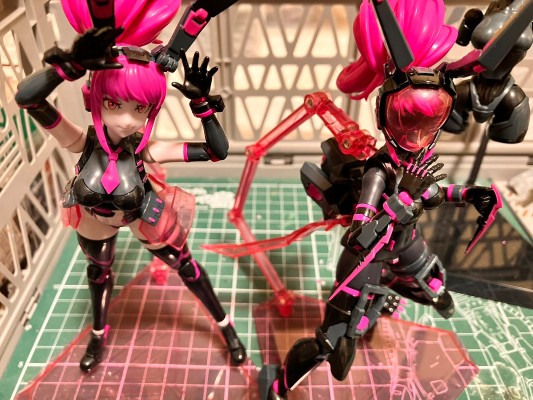 Anima Circuit 薇奥兔子