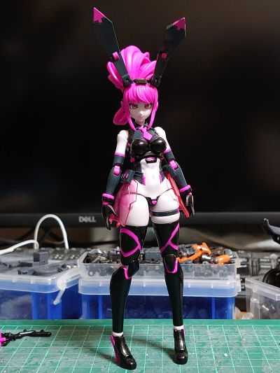 Anima Circuit 薇奥兔子