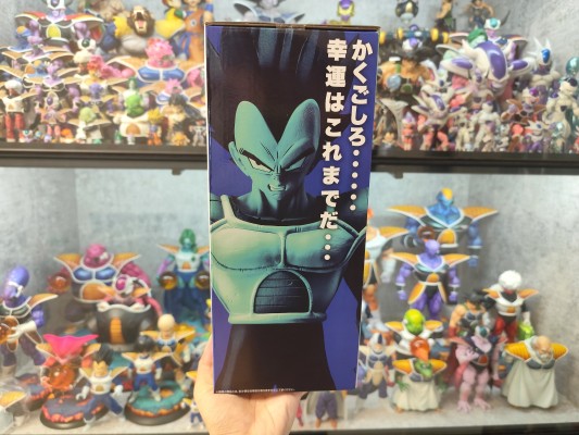 一番赏 龙珠 战斗集锦CROSS D奖 贝吉塔 MASTERLISE