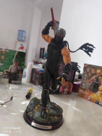 忍者龙剑传系列 龙隼