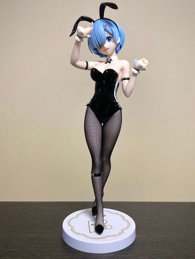 BiCute Bunnies Re：从零开始的异世界生活 雷姆·bicolor