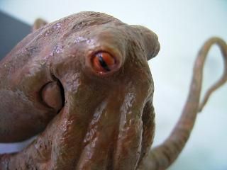 大怪兽系列 奥特Q编 大章鱼 斯塔鲁 彩色版