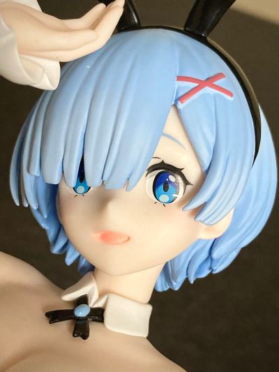 BiCute Bunnies Re：从零开始的异世界生活 雷姆·bicolor