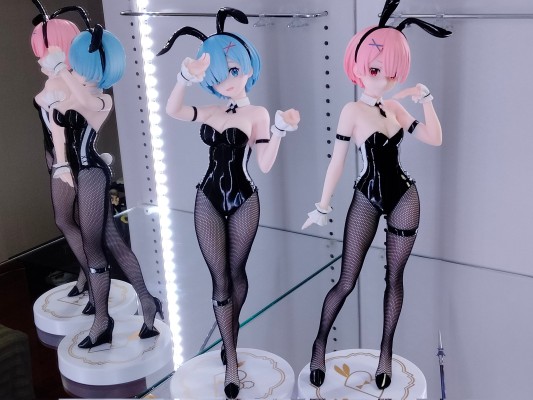 BiCute Bunnies Re：从零开始的异世界生活 雷姆·bicolor