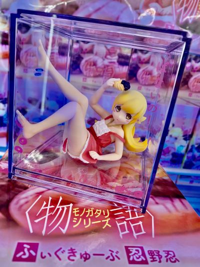 手办立方体 物语系列  忍野忍