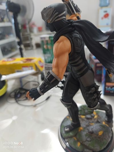 忍者龙剑传系列 龙隼