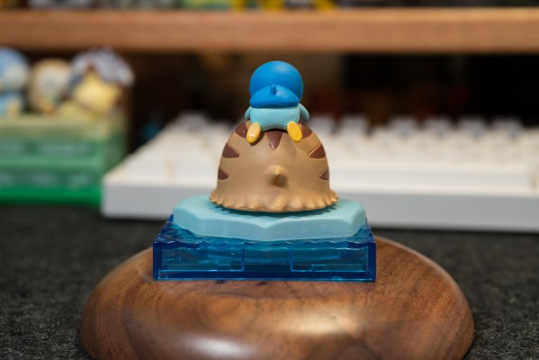 精灵宝可梦 冰雪波加曼系列