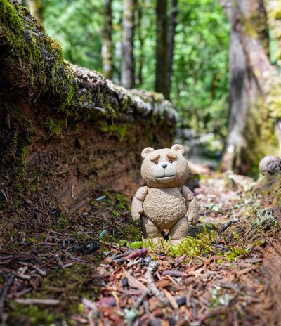 MOVIE REVO No.006 泰迪熊