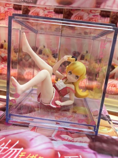 手办立方体 物语系列  忍野忍