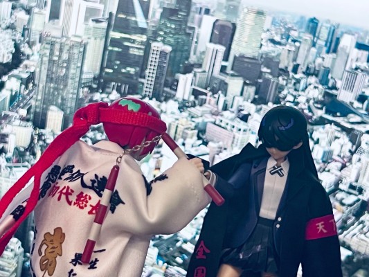 Figure-rise Standard  尼娅安