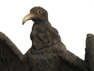 大怪兽系列 奥特Q编 古代怪鸟 拉尔杰乌斯  彩色版