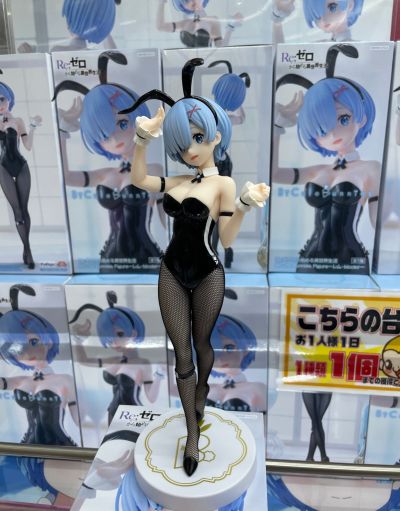 BiCute Bunnies Re：从零开始的异世界生活 雷姆·bicolor