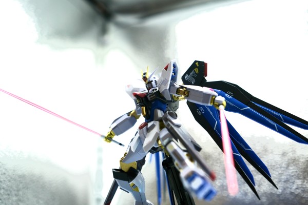 METAL ROBOT魂 ＜机动战士系列＞ 强袭自由高达 [Re:Coordinate]