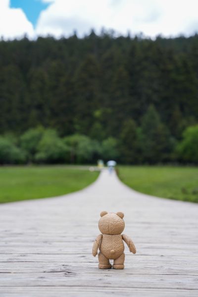 MOVIE REVO No.006 泰迪熊