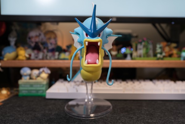 宝可梦 12英寸 史诗战斗第2弹 暴鲤龙