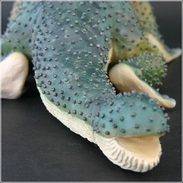 大怪兽系列 奥特曼编 潮汐怪兽 加玛库基拉