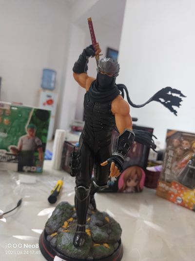 忍者龙剑传系列 龙隼