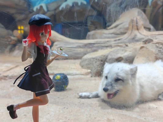 TENITOL 孤独摇滚 喜多郁代 咖啡馆风格