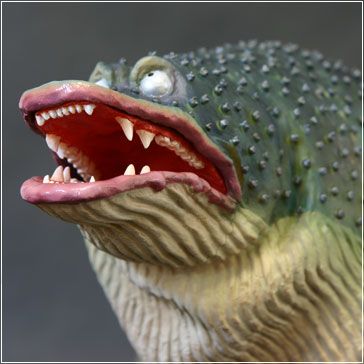 大怪兽系列 奥特曼编 潮汐怪兽 加玛库基拉