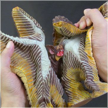 WF2011夏 大怪兽系列 佩斯塔 软质版