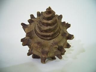 大怪兽系列 奥特Q编 贝兽 哥戈 彩色版