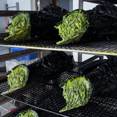 MMPR-04 异形大战铁血战士 铁血战士 刀疤