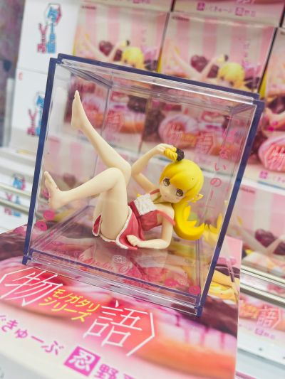 手办立方体 物语系列  忍野忍