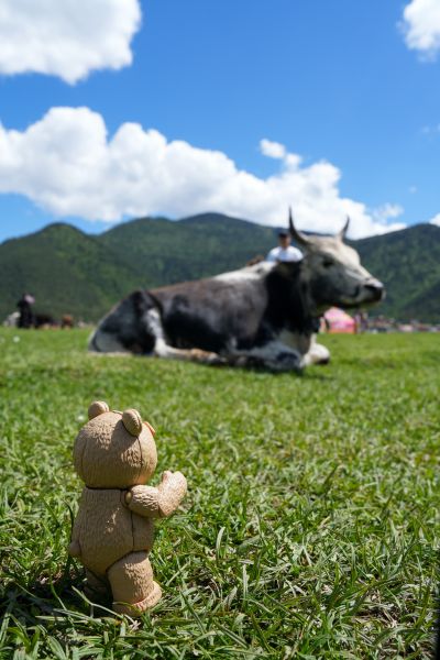 MOVIE REVO No.006 泰迪熊