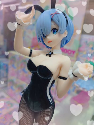 BiCute Bunnies Re：从零开始的异世界生活 雷姆·bicolor