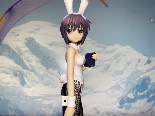 BiCute Bunnies 凉宫春日的忧郁  长门有希