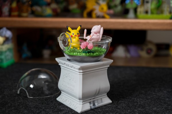 宝可梦 生态球15