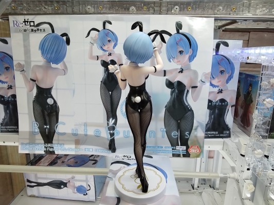 BiCute Bunnies Re：从零开始的异世界生活 雷姆·bicolor