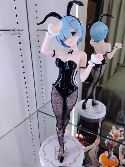 BiCute Bunnies Re：从零开始的异世界生活 雷姆·bicolor