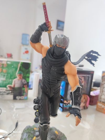 忍者龙剑传系列 龙隼