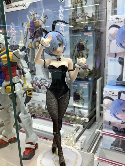 BiCute Bunnies Re：从零开始的异世界生活 雷姆·bicolor