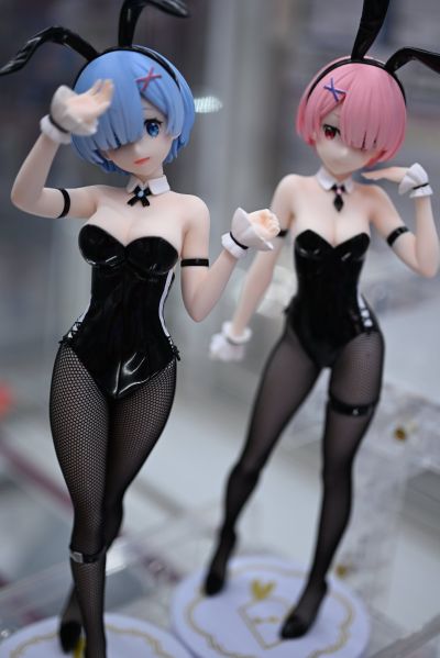 BiCute Bunnies Re：从零开始的异世界生活 雷姆·bicolor