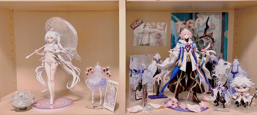 命运-冠位指定  身披角色者-阿瓦隆女士