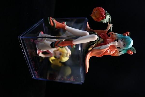 压泡面 初音未来 花仙子 酸浆果