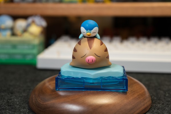 精灵宝可梦 冰雪波加曼系列