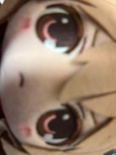 龙与虎 Chocopuni 毛绒玩偶 逢坂大河