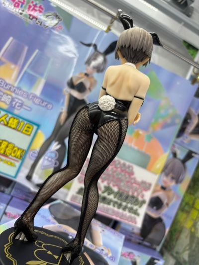 BiCute Bunnies 宇崎学妹想要玩 第二季 宇崎花