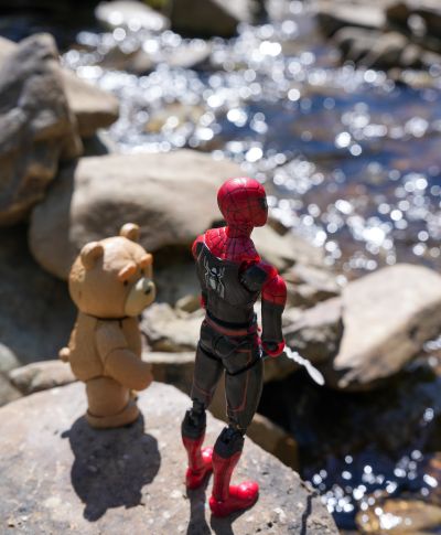 MOVIE REVO No.006 泰迪熊