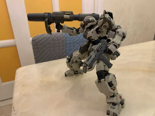 卓越级·暴君·猎狐犬第二小队