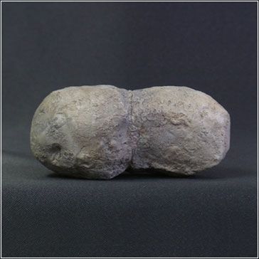 大怪兽系列 奥特曼编 骷髅怪兽 雷德王（重生）