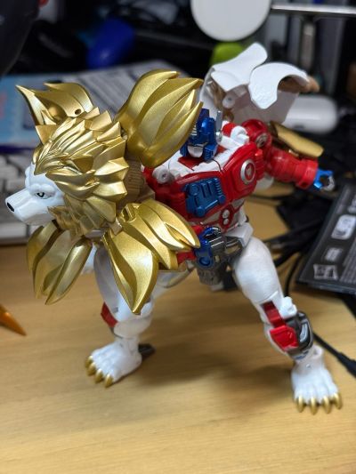 变形金刚40周年纪念款 白狮擎天柱