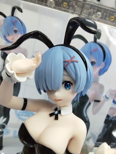 BiCute Bunnies Re：从零开始的异世界生活 雷姆·bicolor