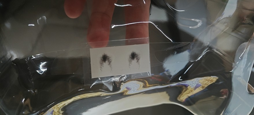 渡边彩纱：束缚