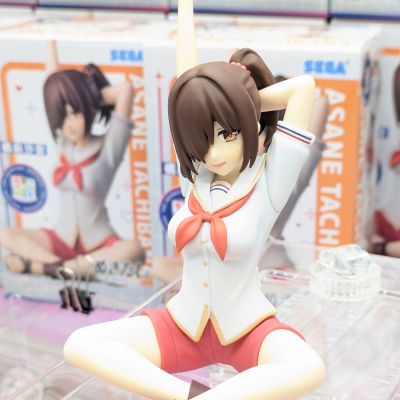 拔作岛动画版 小坐系列奖品人偶 “橘麻沙音”