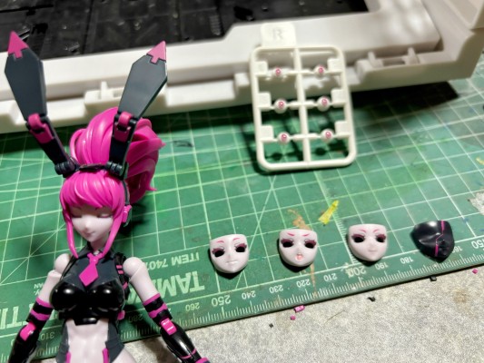 Anima Circuit 薇奥兔子