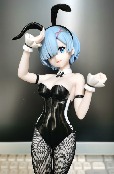 BiCute Bunnies Re：从零开始的异世界生活 雷姆·bicolor